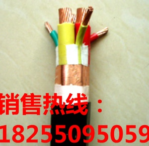 安徽硅橡胶变频器电缆、高温变频器电缆、BPGGP2-诚信单位