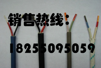 耐高温补偿电缆补偿电缆ZR-KX-GsFVR诚信单位